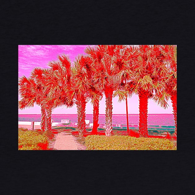 Palm Trees in Red by Debra Martz